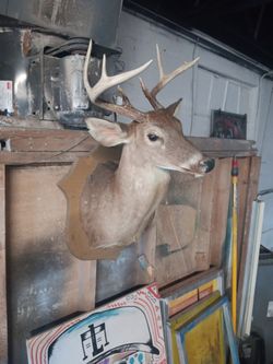 Deep Head Mounted