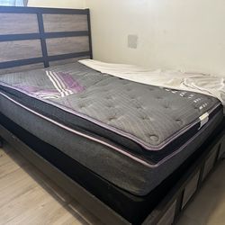 Queen Size bed & dresser