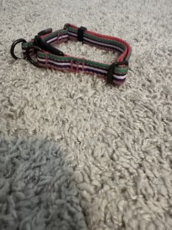 Small Dog Collar