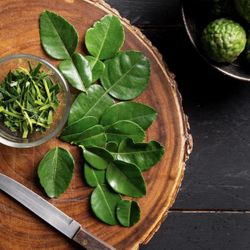 Fresh Organic Makrut (Kaffir) Lime Leaves - Homegrown