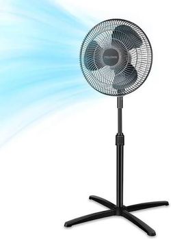 New fan