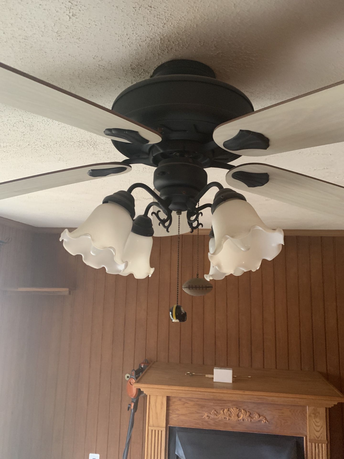 Two matching ceiling fans
