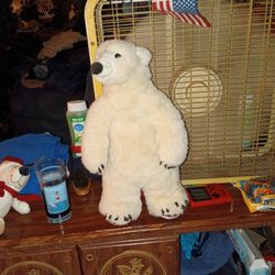 White Polar Bear