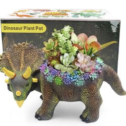 Cute Medium Dinosaur Succulent Planter Pot with Drainage Hole, Plants Not Included