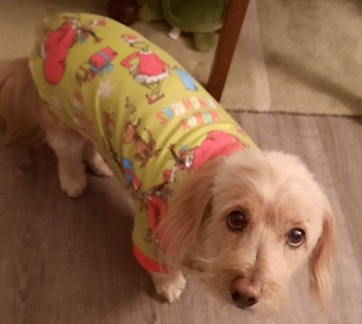 Grinch Christmas Dog Sweater/Pajama