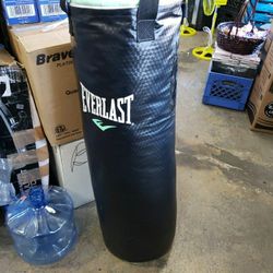 Everlast Punching Bag 