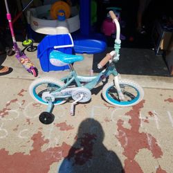 Frozen Bike