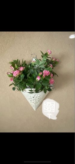Flowers in hanging basket
