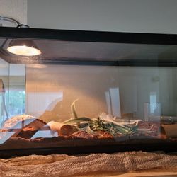 20 Gallon Reptile Tank / Snake Enclosure / Ball Python