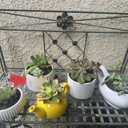 Teacher Appreciate Gifts