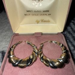 14kt Earrings 