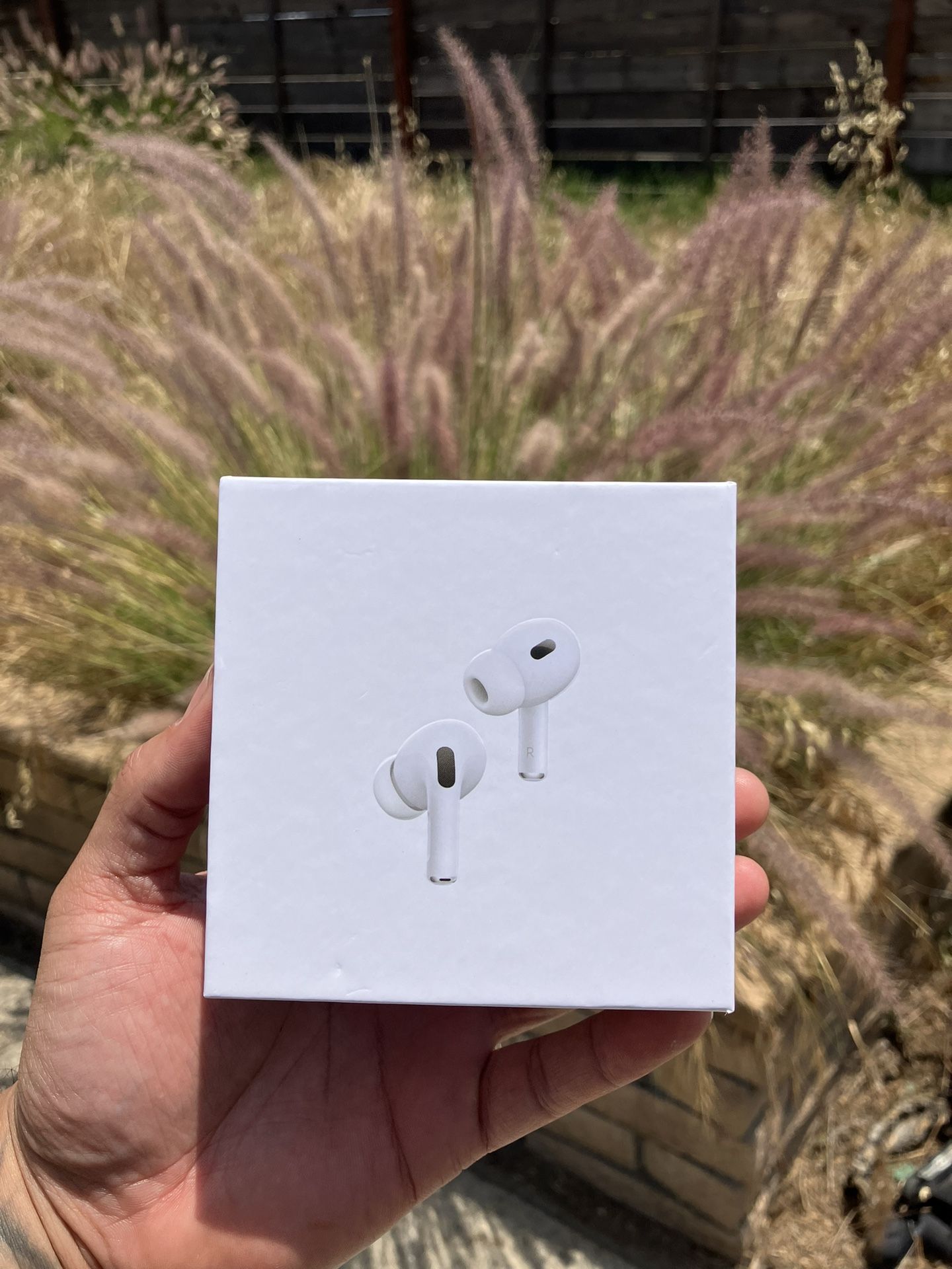 Apple Pro 2