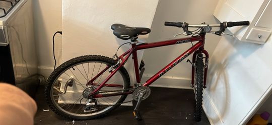 Raleigh M40 mountain bike