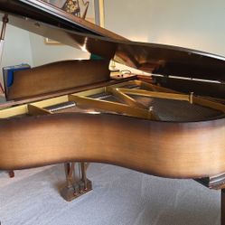 Baby Grand Piano