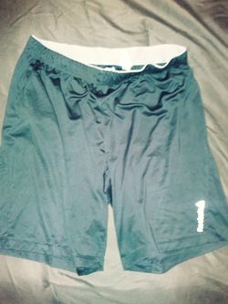 Reebok active shorts. Size Large and the waist drawstring is out but is inside the pocket.