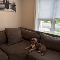 Macy’s Radley 5 Piece Sectional Couch