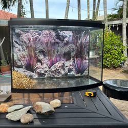 Curved fish tank 