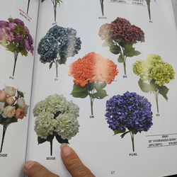 Flores Cintic 