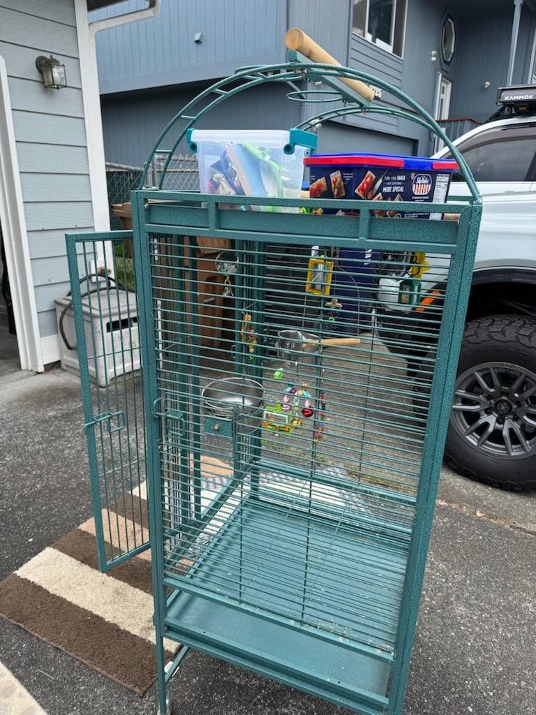 Bird Cage