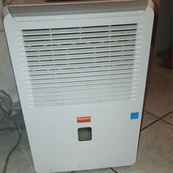 Dayton Dehumidifier 