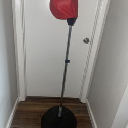 Protocol Punching Bag