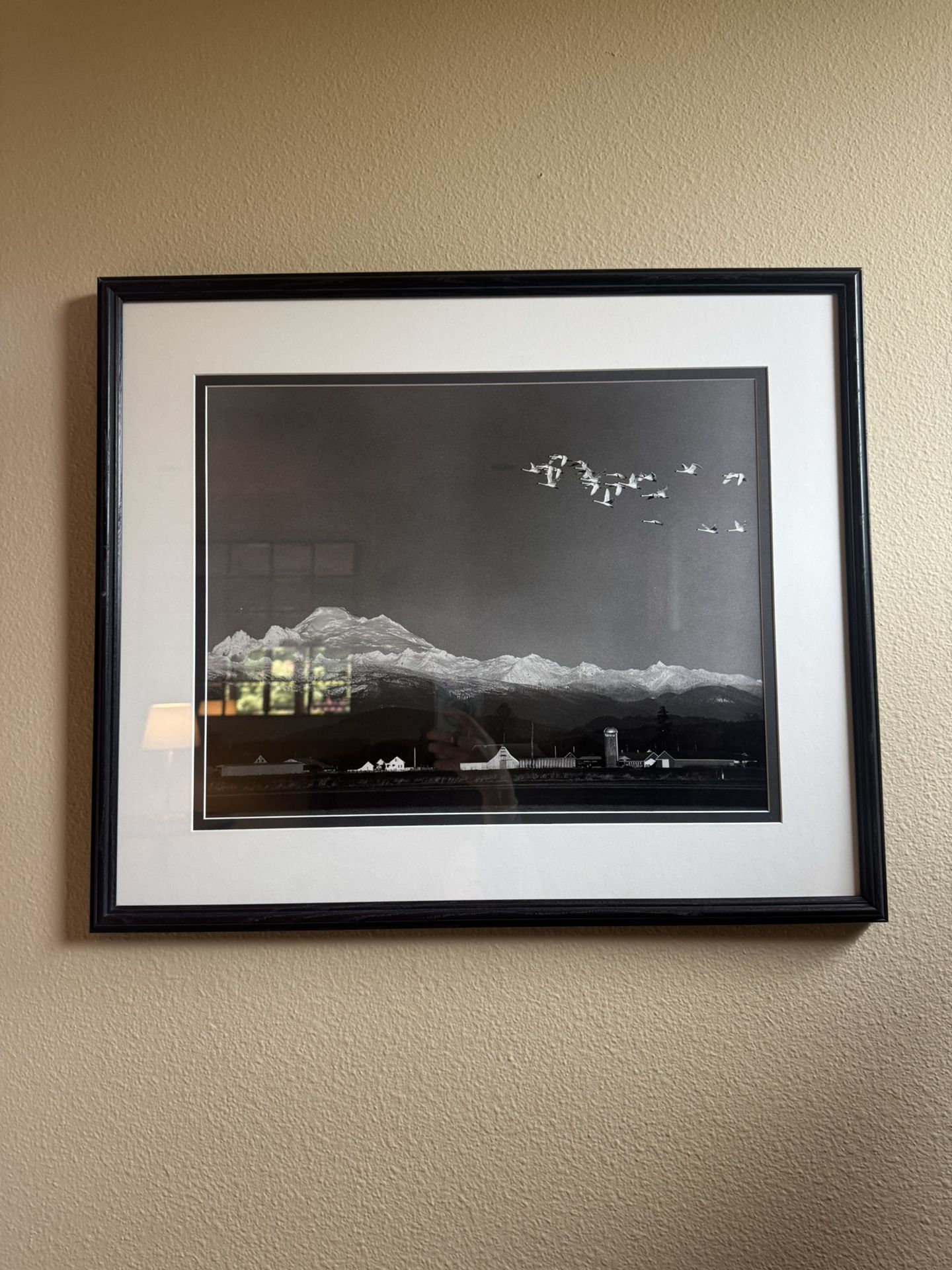 Josef Scaylea Framed Print