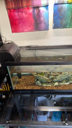 Fish tank