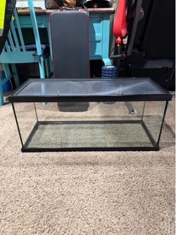 20g reptile/animal tank