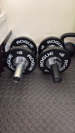Rogue dumbbells