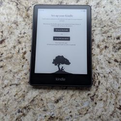 Kindle Paperwhite Signature Edition With Case.