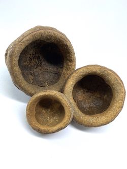 Vivarium Habitat Decor