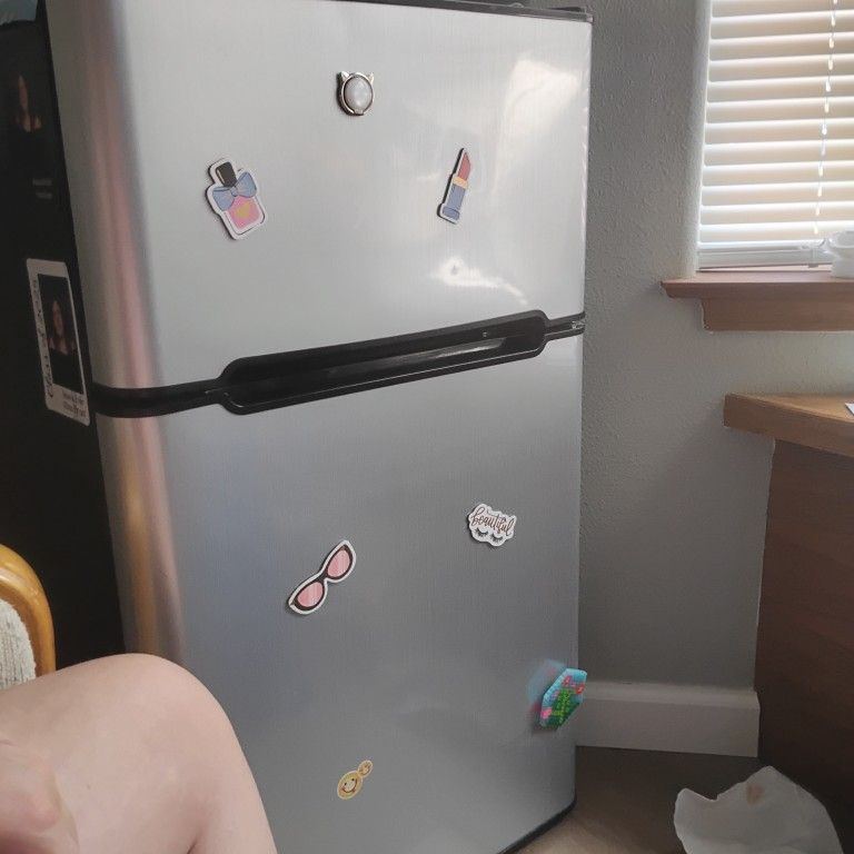 Mini Fridge With Freezer