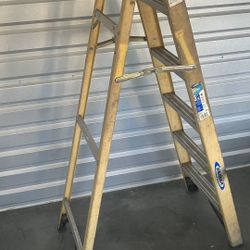 Werner 6’ Ladder