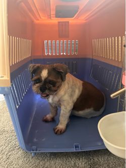 Large pet carrier
