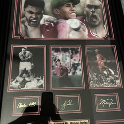 Really Nice Michael Jordan Tiger Woods In Muhammad Ali 