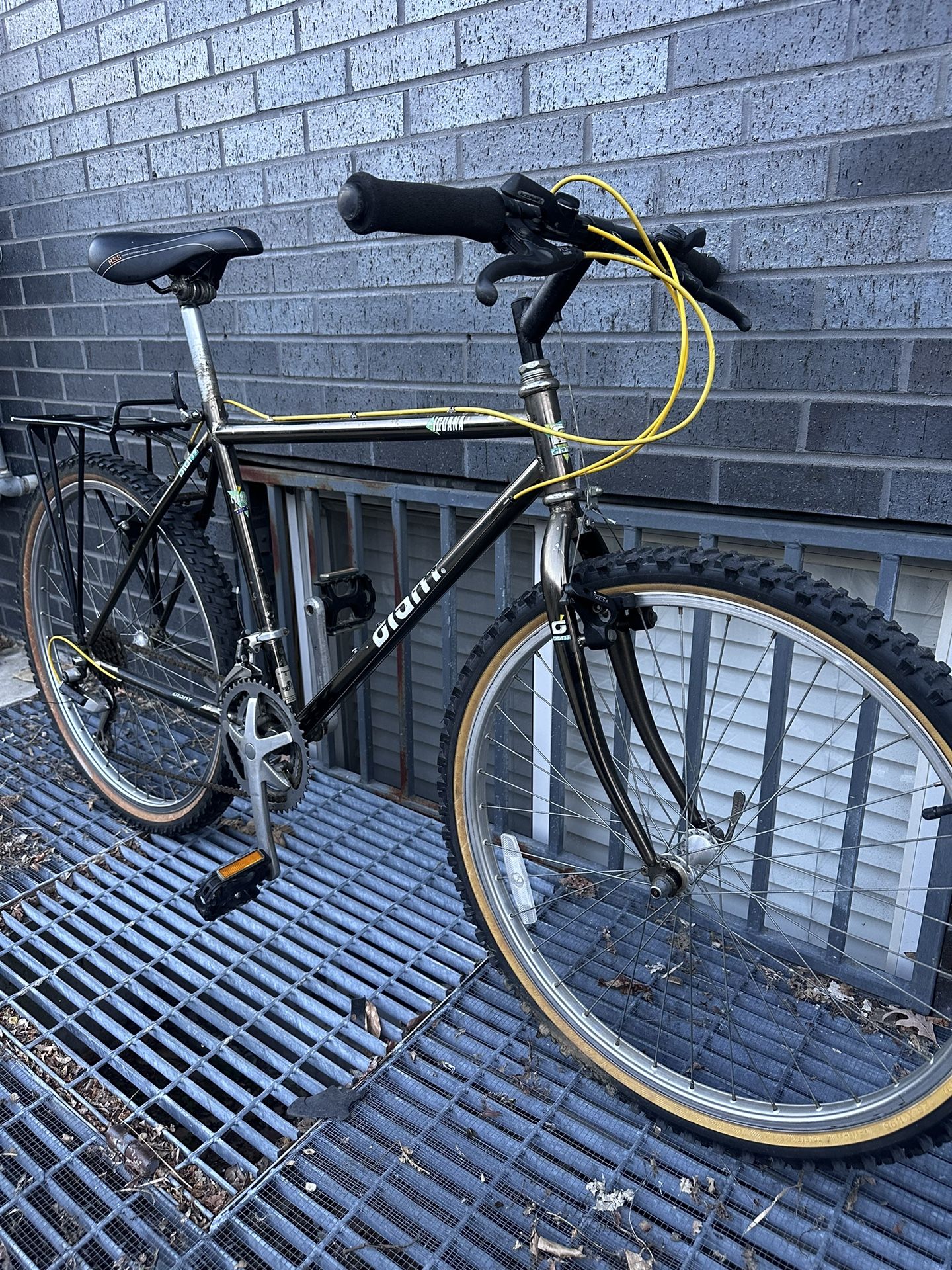 Vintage Giant Iguana Hybrid Road Bike 