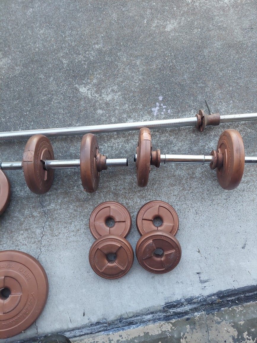 Sears and Roebuck Ted Williams Weight Set