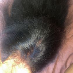 Human hair 30 inch wig 