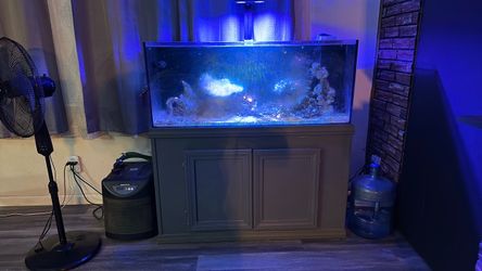 100 salt water tank