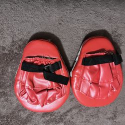 Boxing Pads 
