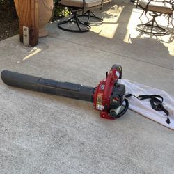 Leaf Vacuum  Craftsman 