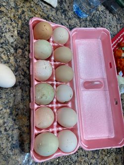 Fresh eggs