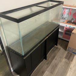 60 Gallon Fish Tanks Hundred Dollars Each Or Best Offer