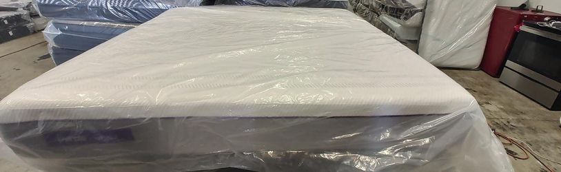 💜King Purple Hybrid💜