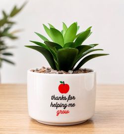 4”H x 3”W Artificial Succulent in a Small Ceramic Pot