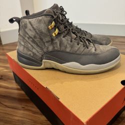 Jordan 12’s Size 12