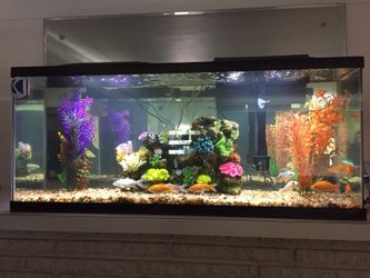 Marineland 55 gallon aquarium kit cheap