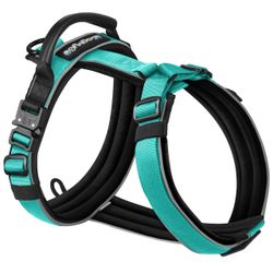 NEW WagvyGo Dog Harness – Large – Turquoise