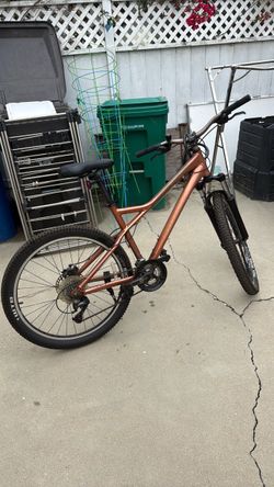 Giant Bike