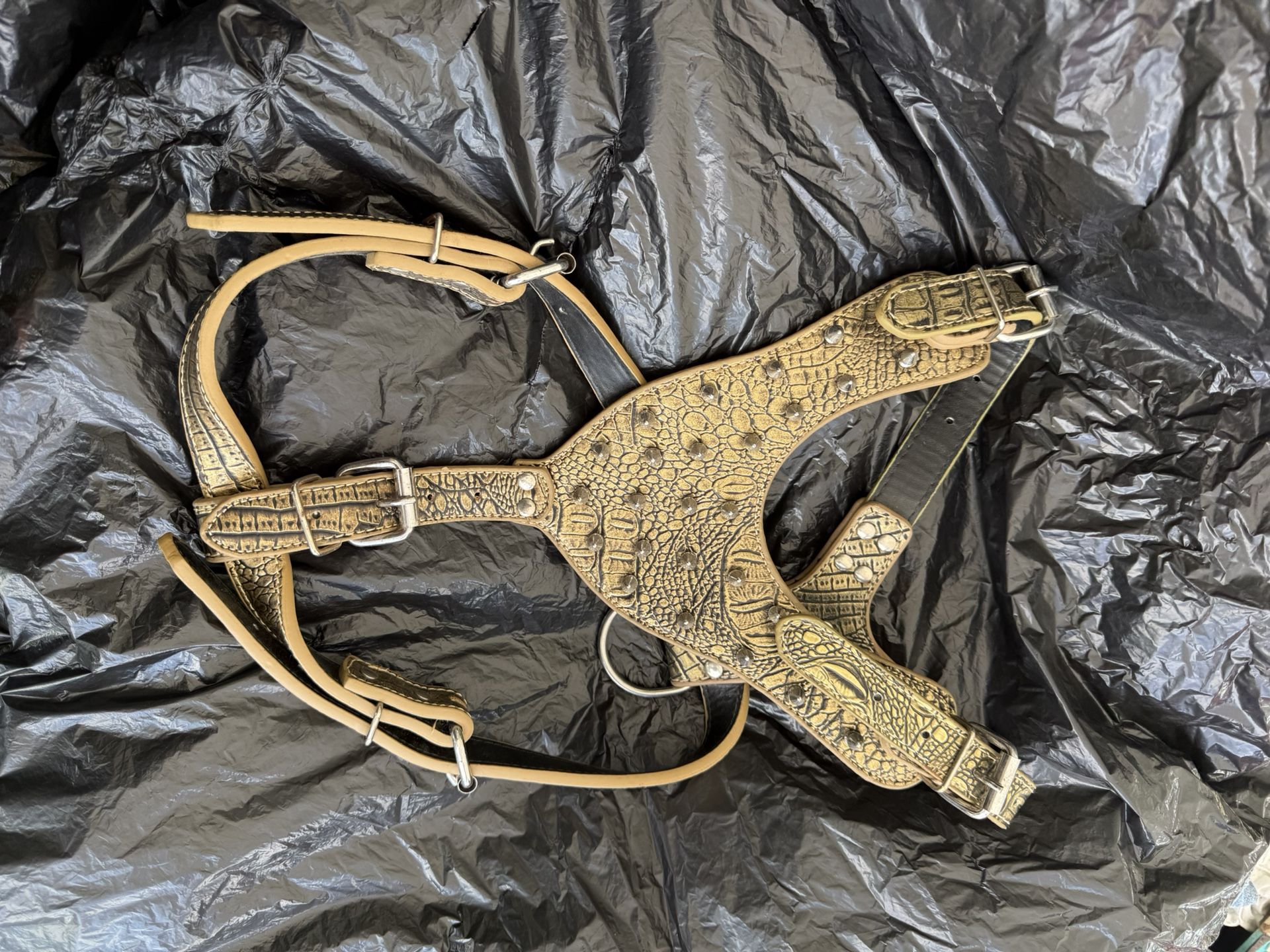 Dog Harness